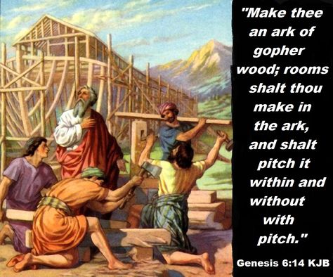 Genesis 6:14 KJB Noah Building The Ark, Quiz Biblico, Doomsday Prepper, Arte Judaica, Oldest Bible, Bible Resources, Noah S Ark, Bible Pictures, Childrens Bible