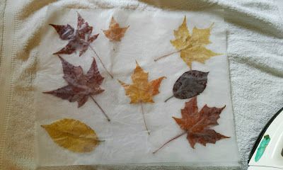 Upcy: Preserving Leaves with Wax Paper DIY Leaves In Wax Paper, Waxed Leaves, Preserving Leaves, Pressing Leaves, Waxed Paper, Dry Leaves, Paper Leaves, Paper Diy, Dry Leaf