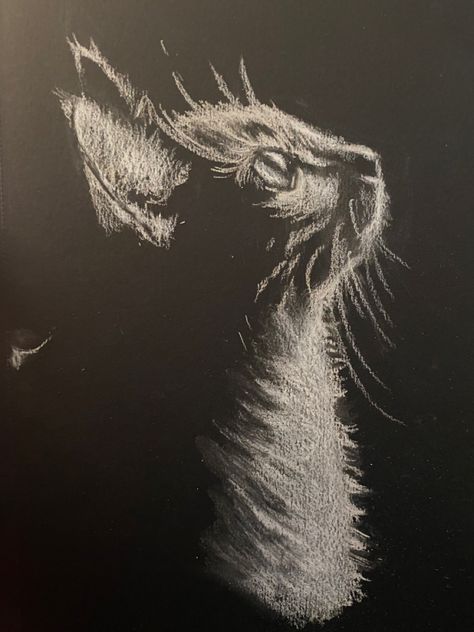 White charcoal on black paper drawing