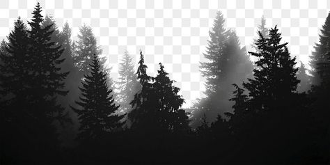 Deforestation Background, Dark Forest Background, Fog Png, Trees Texture, Forest Border, Forest Texture, Border Transparent, Black And White Forest, Wood Png