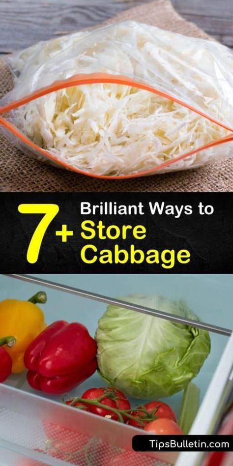 Learn how to store cabbage in the root cellar, or refrigerate a head of cabbage in the crisper drawer of the fridge. Cut cabbage loses vitamin C and is easy to make into sauerkraut or coleslaw for easy storage. #storingcabbage #store #cabbage #cookedcabbage How To Store Cabbage, Cabbage Dishes, Cabbage Head, Storing Vegetables, Pickled Cabbage, Root Cellar, Cooked Cabbage, Long Term Storage, Savory Soups