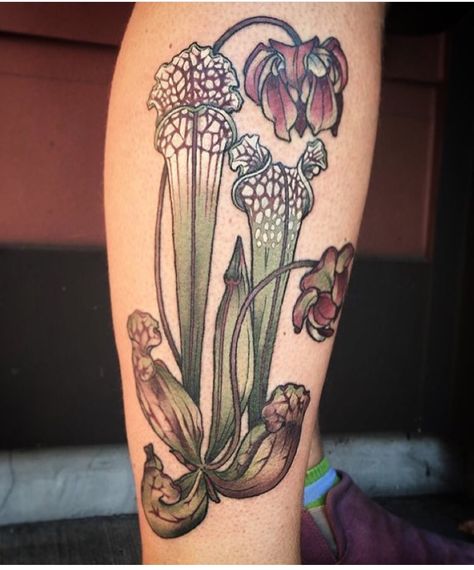 Kirsten Holliday tattoo from wonderland tattoo Plants Tattoo, Portland Tattoo, Wonderland Tattoo, Trendy Plants, Skeleton Hand Tattoo, Plant Tattoo, Paper Vase, Botanical Tattoo, Pitcher Plant