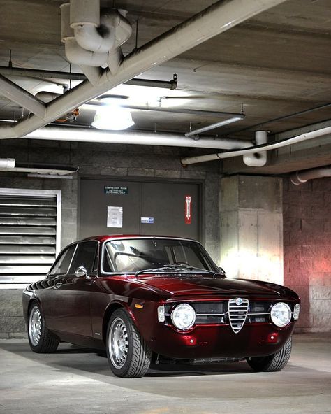 Alfa Romeo Gtv, Triumph Cars, Classic Car Show, Ford Pickup Trucks, Weird Cars, Dream Garage, Unique Cars, Classic Italian, My Dream Car