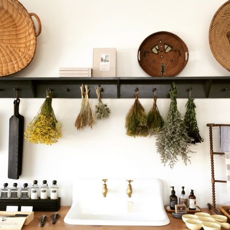 Black peg rails hold dried flowers in a Dallas shop; see Shopper’s Diary: The Kitchen Sink and More at Set & Co. 4x8 Bathroom, Peg Rails, Shaker Peg Rail, Peg Rail, Housewares Store, Shaker Pegs, Interior Contemporary, Kitchen Black, Interior Kitchen