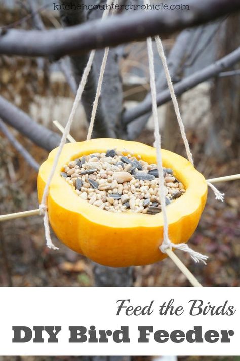 How to make a homemade bird feeder - Feed the birds this winter (or all year round) with this simple diy bird feeder. Made from something you probably already have at home. A fun winter craft for kids. Homemade Bird Feeder, Bird Feeders For Kids To Make, Fun Winter Crafts, Homemade Bird Houses, Homemade Bird Feeders, Bird House Kits, Bird Aviary, Diy Bird Feeder, Easy Coffee