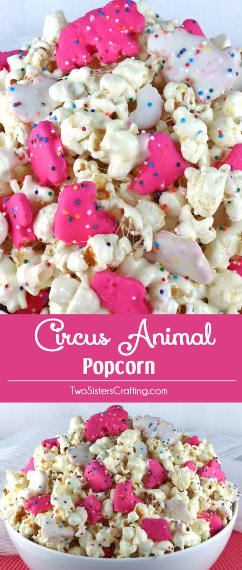 Circus Animal Popcorn - sweet and salty popcorn, covered with marshmallows and yummy Circus Animal Cookies just for fun! A great popcorn treat that is so easy to make! A delicious snack and so very pretty with the sprinkles and the pink and white cookies. Pin this easy dessert for later and follow us for more great Popcorn Recipe Ideas. Salty Popcorn Recipes, Circus Week, Sweet And Salty Popcorn, Popcorn Ideas, Circus Animal Cookies, Cake Popcorn, Movie Cake, Night Dessert, Circus Cookies