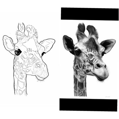 Giraffe Tattoo Design, Giraffe Tattoo, Cobra Art, On Tattoo, Tattoo Shading, Animal Templates, Manga Tattoo, Tattoo Templates, Cowgirl Art