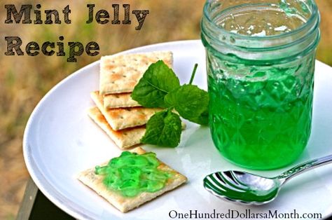 Mint Jelly Recipe Mint Jelly Recipe, Canning 101, Jelly Recipe, Jam And Jelly, Jams And Jellies, Jelly Recipes, Fresh Mint Leaves, Samos, Canning And Preserving