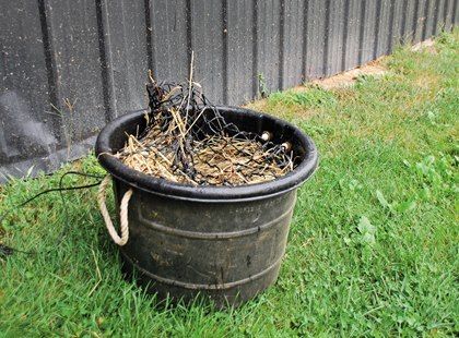 Certain hays and horses don't marry well. Here's how to modify your forage. Feeding Horses, Horse Nutrition, Horse Hay, Grass Hay, Equine Nutrition, Horse Info, Horse Feed, Digestion Process, Animal Health