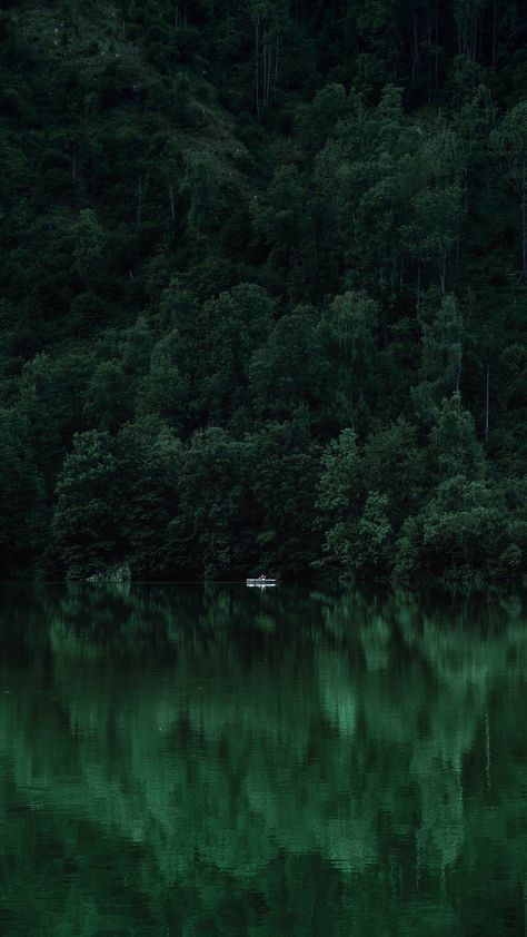 iPhone wallpaper Nature Verte, Slytherin Wallpaper, Wallpaper Gelap, Wallpaper Hijau, App Ikon, Dark Naturalism, Dark Green Wallpaper, Wallpaper Estetika, Dark Green Aesthetic