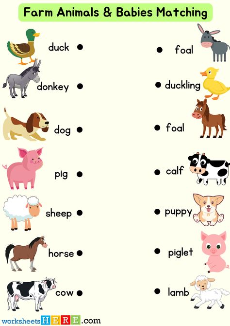 Farm Animals and Babies Matching Activity PDF Worksheet For Kids - WorksheetsHere.com Animals And Their Babies Worksheet, Farm Animals Worksheets For Kids, Nursery School Activities, Mother And Baby Animals, Farm Animals Activities, Baby Animal Names, Animal Names, Animal Worksheets, Animal Babies