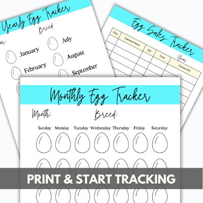 printable poultry record keeping templates Chicken Record Keeping Free, Chicken Record Keeping, Chicken Farm Ideas, Chicken Egg Production, Selling Eggs, Poultry Business, Inventory Printable, Hatching Chicks, Bird Types