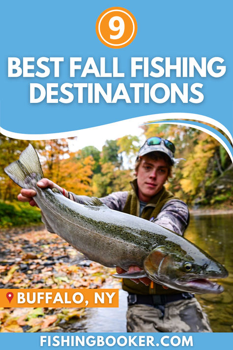 "With the summer heat finally behind us, fall is an excellent time to head out and enjoy the outdoors. And while you’re at it, why not catch some fish? Along with the leaves changing their colors and creating that well-known foliage, fall brings a myriad of angling opportunities. And in this article, we’ll cover some of the best fall fishing destinations across the United States..." Fall Fishing, Fishing Charters, Summer Heat, Best Fishing, Fishing Trip, Fishing Tips, Get Outside, Outdoor Adventure, United States