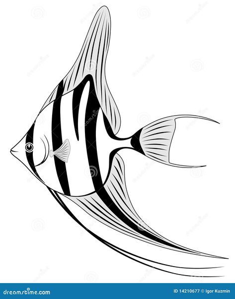 The image of a Angel fish in the form of a tattoo Angel Fish Tattoo, Fish Vector Art, Goldfish Illustration, Coral Reef Art, Koi Tattoo Design, Wild Water, Koi Tattoo, Underwater Art, Fish Vector