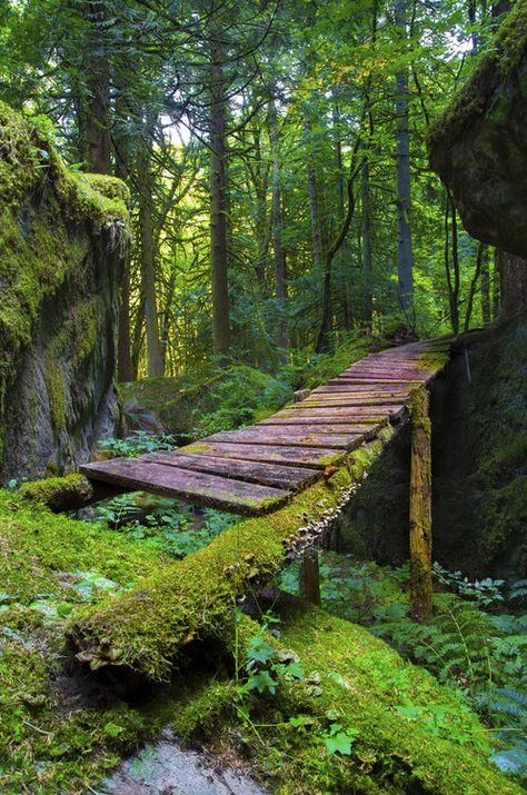 Magic Places, Way To Heaven, Japanese Garden, Albania, Slovenia, In The Woods, Serbia, British Columbia, Beautiful World