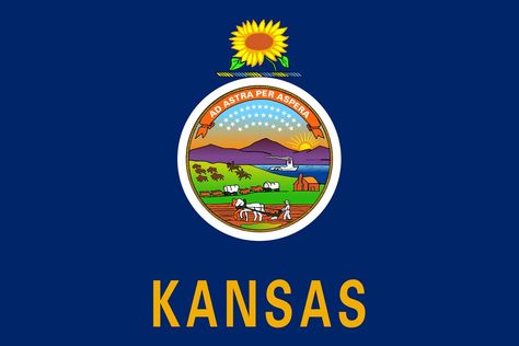 Kansas: A Unit Study | DIY Homeschooler Kansas Day, Kansas Flag, Street Banners, Sports Flags, Historical Flags, Louisiana Purchase, Military Flag, Flag Outfit, Blog Challenge