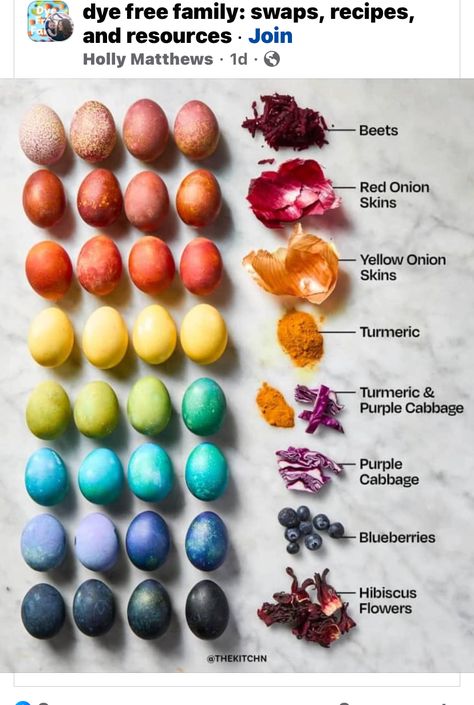 Blown Eggs, Naturally Dyed Easter Eggs, Easter Greetings Messages, Earth Pigments, Easter Egg Dye, Purple Cabbage, Easter Eggs Diy, Egg Art, Easter Greetings