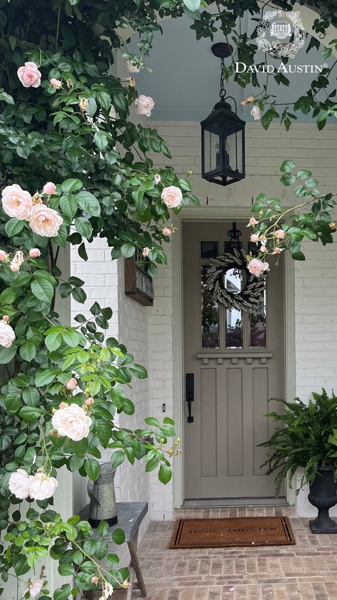 Transform your entrance with fragrant, colourful roses! Plant pots on each side of the doorstep for a formal, inviting look. Or, create real impact by training a climber up the wall.   Top tip: opt for roses with fewer thorns for tighter entranceways.  #davidaustinroses #gardeninspiration Roses Growing Up House, Climbing Roses Front Porch, Roses In Front Of House, Roses On Fence, Roses In A Pot, Roses In Pots, Front Garden Ideas Driveway, Rose Hedge, Austin Garden