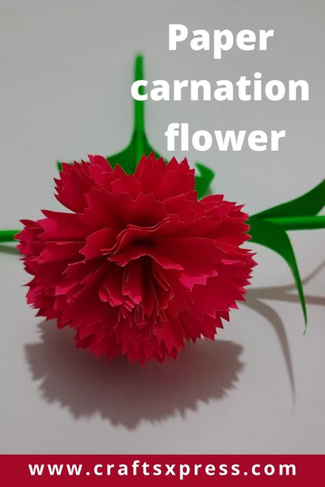 How to make beautiful Carnation paper flowers with leaves, Easy to make, and can turn your bouquet more beautiful. Carnation Paper Flowers, Large Paper Flower Tutorial, Large Paper Flower, Carnation Bouquet, Flowers With Leaves, Winter Paper, Red Carnation, Large Paper Flowers, Paper Bouquet