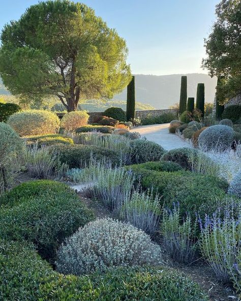 Roman Garden, Mediterranean Garden Design, Provence Garden, Tuscan Garden, Modern Landscape, Italian Garden, Mediterranean Garden, Front Garden, Garden Styles