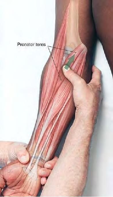 Forearm Anatomy, Tarsal Tunnel, Massage Guide, Punkty Spustowe, Massage Therapy Techniques, Reflexology Massage, Body Therapy, Sports Massage, Massage Benefits