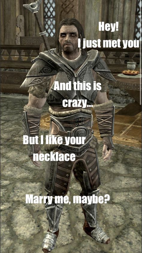 Skyrim Vilkas, Elder Scrolls Funny, Skyrim Tips And Tricks, Skyrim Fanart, Tes Skyrim, Skyrim Funny, Elder Scrolls Lore, Elder Scrolls Games, Nerd Memes