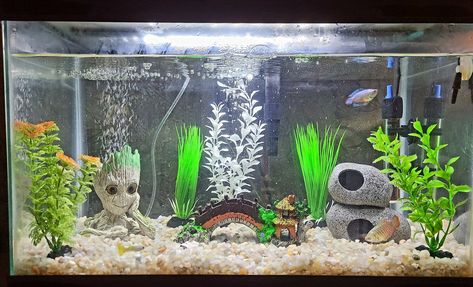 Steam Lab, Fish Aquarium Decorations, Fish Tank Themes, Fish Pond Gardens, Fish Tank Terrarium, Diy Fish Tank, Mini Aquarium, Basic Painting, Betta Tank