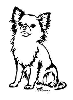 Long Hair Chihuahua Drawing, Chihuahua Tattoo Outline, Chiwawa Puppies, Chihuahua Silhouette, Chihuahua Drawing, Long Hair Chihuahua, Chihuahua Tattoo, Dog Doodle, Chihuahua Art