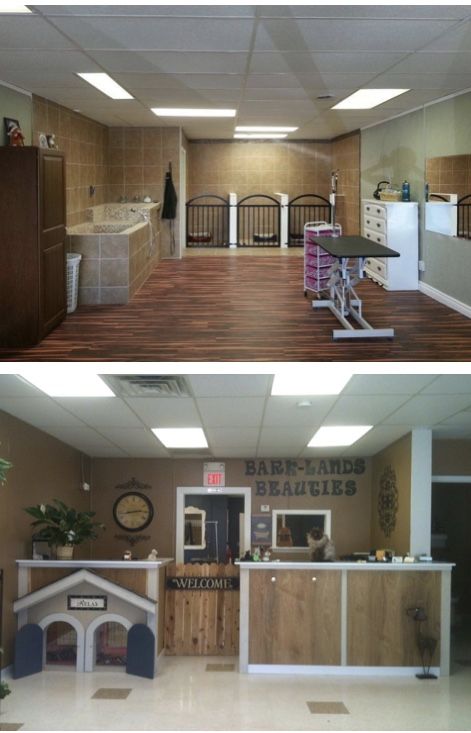 Grooming Salon Floor Plans, Basement Grooming Salon, In Home Dog Boarding Ideas, Dog Grooming Station Ideas, Home Grooming Salon Ideas, Dog Grooming Garage Ideas, Grooming Shop Ideas Interior Design, Garage Grooming Salon, Grooming Station Ideas