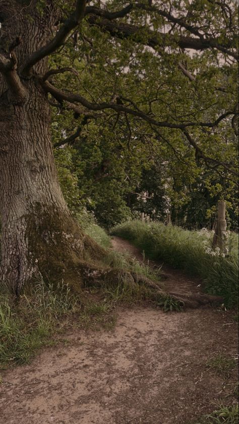 Oak Trees Aesthetic, Oak Tree Aesthetic, Dark Cottagecore Aesthetic Wallpaper, Cottagecore Aesthetic Dark, Path Aesthetic, Dark Cottage Core Aesthetic, Gothic Autumn, Cottagecore Aesthetic Wallpaper, Dark Cottagecore Aesthetic