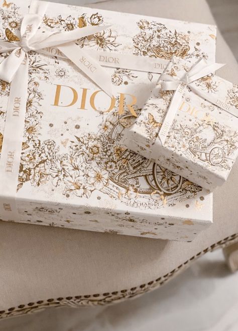 Dior Ribbon, Dior Gift, Luxury Packaging Design, نباتات منزلية, Storage Decor, Gift Storage, Gift Box Design, 카드 디자인, Box Packaging Design