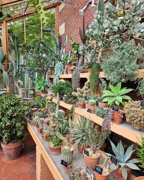 [9 photos] 🔔Chelsea Physic Garden Plant Fair alert: Saturday 27 April 2024 10:00 am - 5:00 pm 🌸💐🪴 Chelsea Physic Garden was founded in 1673 by The Worshipful Society of Apothecaries of London. The purpose was to help its apprentices to study medicinal plants and their uses. It soon turned into one of the most important centres of botany and plant exchange in the world. ▶️ Follow @withinlondon ❤ Like | 👤 Tag friends | 💬 Comment 📸 Ina/WithinLondon 🌍 Visit 👉 www.withinlondon.com 👈 #londonliv... Chelsea Physic Garden, Medicinal Plants And Their Uses, Plants And Their Uses, Physic Garden, Tag Friends, London Christmas, April 2024, Medicinal Plants, To Study