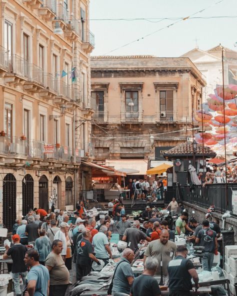 La dolce vita 😍 Catania isn‘t that pretty, at least in my opinion 🙈 But as every other place in Sicily, it has its own unique charm and it kind of grew on me 🥰🇮🇹 Things to do in Catania | Cities in Sicily | Catania Fish Market | Catania Travel Guide | Sicily Travel Guide | Best Places in Italy #catania #sicily #visitsicily #sicilytravel #bellaitalia Italy Catania, Sicily Catania, Best Places In Italy, Catania Sicily, Visit Sicily, Sicily Travel, Places In Italy, Fish Market, In My Opinion