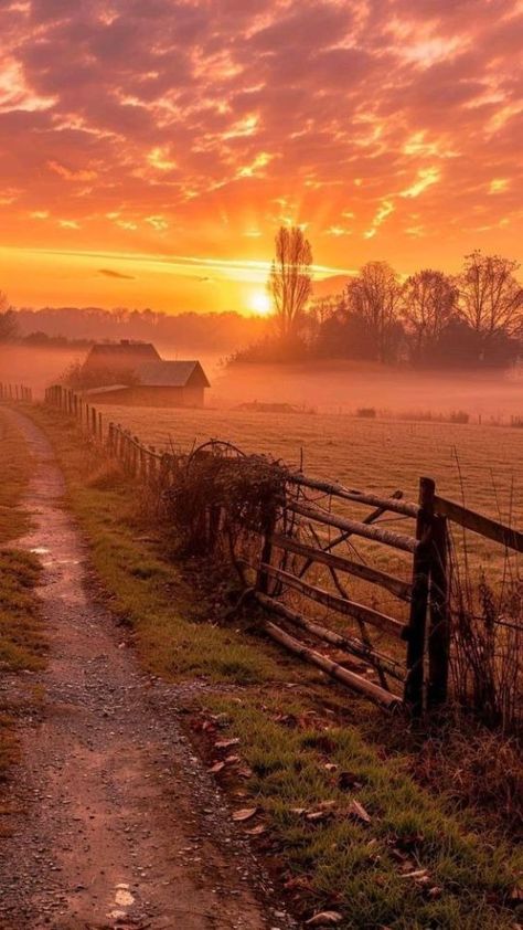 (16) Tumblr Early Morning Photography, Field With Sunset, Early Morning Sky, Early Sunrise, Rural Photography, Nature Sunrise, Sunrise Aesthetic, Pastel Sunset, Morning Sunrise