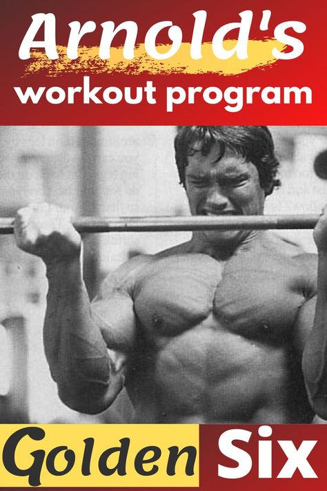 Arnold Training, Split Training, Arnold Workout, Full Body Training, Training Routine, Eye Skin Care, Body Training, Workout Program, Lean Body