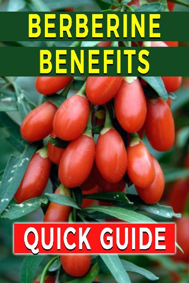 BERBERINE: Quick Guide to BENEFITS #BerberineBenefits Healthy Recipes For Diabetics, Medical Facts, Health Routine, Healthy Liver, Natural Health Remedies, Blood Sugar Levels, Holistic Wellness, Quick Guide, Natural Supplements