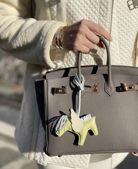 Hermes Evelyn Bag, Jane Birkin Style, Hermes Birkin Handbags, Stylish Winter Outfits, Hermes Birkin 25, Hermes Accessories, Hermes Constance, Birkin 25, Hermes Bags