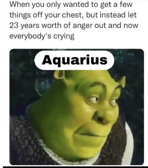 Aquarius Funny, Social Causes, Aquarius Aesthetic, Horoscope Memes, Aquarius Truths, Aquarius Life, Moon Reading, Aquarius Quotes, Capricorn Women