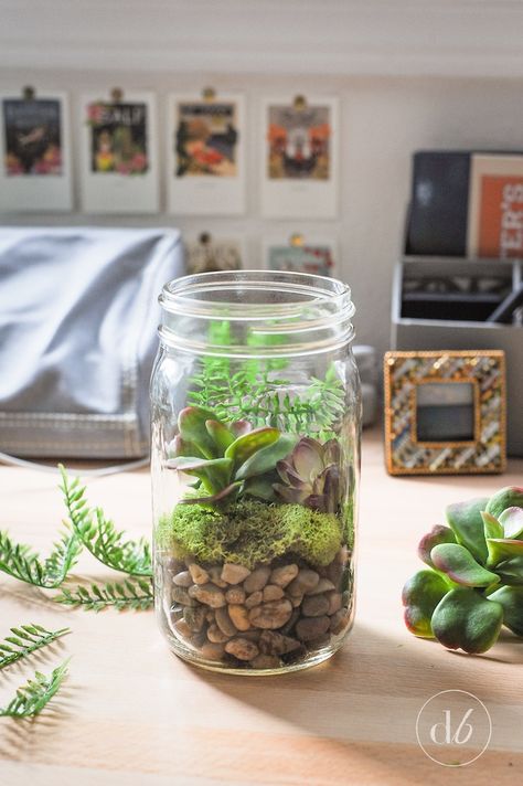 mason jar terrarium cc cycle 1 week 12 Mason Jar Plants, Mason Jar Succulents, Terrariums Diy, Mason Jar Terrarium, Mason Jar Garden, Jar Terrarium, Small Terrarium, Plants In Jars, Succulent Centerpieces