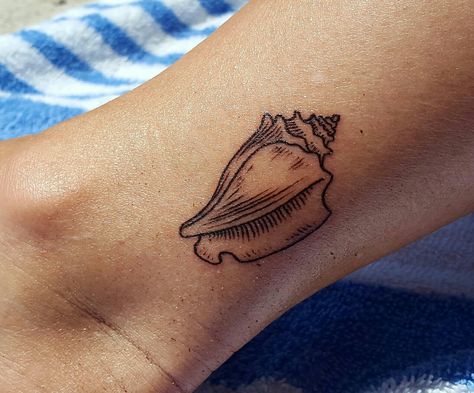 My Key West Conch Shell Moana Shell Tattoo, Conk Shell Tattoos, Tiny Conch Shell Tattoo, Queen Conch Shell Tattoo, Olive Shell Tattoo, Horse Conch Shell Tattoo, Florida Keys Tattoo, Small Conch Shell Tattoo, Conch Tattoo Shell