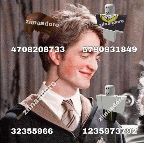 Roblox Outfit Codes, Hogwarts Outfits, Cedric Diggory, Outfit Codes, Berry Ave, Roblox Outfit, Roblox Outfits, Roblox Codes, Hermione Granger