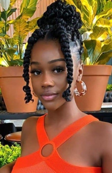 Passion Twist Hairstyles, Twisted Hair, Big Box Braids Hairstyles, African Hair Braiding Styles, Box Braids Hairstyles For Black Women, Braided Cornrow Hairstyles, Natural Hair Twists, Braids Hairstyles Pictures, Twist Braid Hairstyles