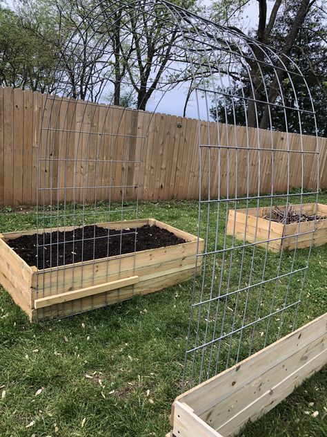 Garden Beds Vegetable, Garden Bed Veggie Layout, Veggie Patch Fence, Flower Garden Accessories, Garden Design Trellis, Gardening Area Ideas, Gardening Planters Ideas, Vegetable Garden Set Up, Small Yard Garden Design