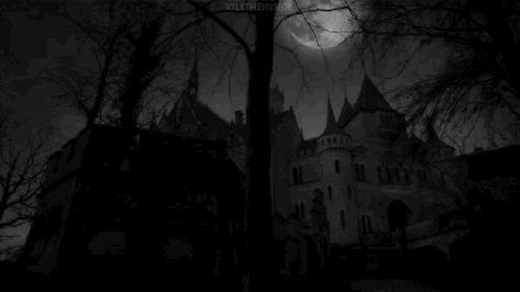 Vampire Castle, Black And White Gif, Dracula Castle, Dark Castle, Black Banner, Banner Designs, Banner Gif, Mystic Falls, Header Banner