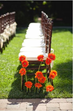 cute aisle pews - sprouting gerber daisies Growing Aisle Wedding, Aisle Ground Flowers, Wedding Aisle With Flowers, Wedding Aisle Ground Flowers, Wedding Ground Flowers, Gerbera Wedding Decoration, Aisle Markers Wedding Outdoor Ceremony, Diy Aisle Flowers, Wedding Aisle Flowers On Ground