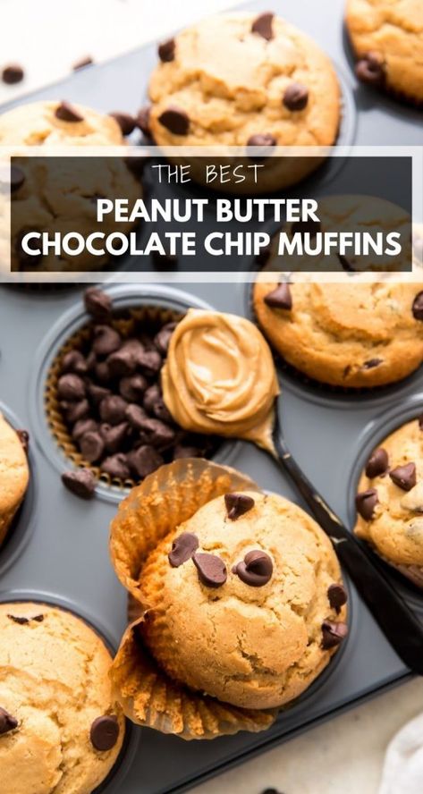 Peanut Butter Chocolate Chip Muffins, Chocolate Peanut Butter Muffins, Butter Muffins, Peanut Butter Muffins, Best Peanut Butter, Healthy Peanut Butter, Easy Peanut Butter, Peanut Butter Chocolate Chip, Peanut Butter Chocolate