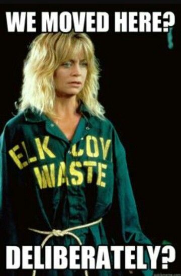 Overboard Goldie Hawn Overboard, Overboard Movie, Goldie Hawn Hair, Wisconsin Winter, Bubble Quotes, Kurt Russell, Favorite Movie Quotes, Movie Moments, Goldie Hawn