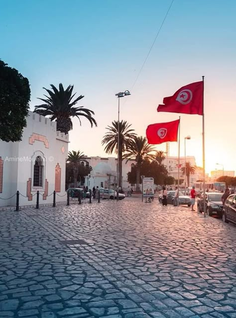 Tunisia Flag, Arab Culture, Exposure Photography, Music Covers, North Africa, Tunisia, Travel Agency, Tahiti, Nature Wallpaper