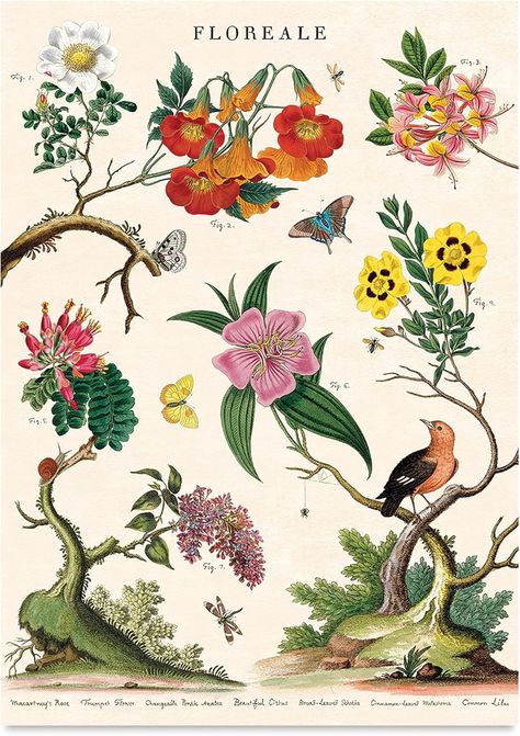 Amazon.com : Cavallini & Co. Floreale Decorative Paper Wrap- 20x28" Sheet : Arts, Crafts & Sewing Vintage Floral Prints, Flora Frame, Millinery Supplies, Sewing Workshop, Gift Tag Cards, Decorative Paper, Glitter Glass, Vintage Floral Print, Paper Tags