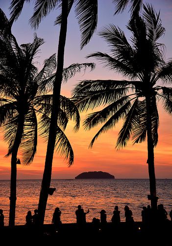 Sunset through the palms at Tanjung Aru, Kota Kinabalu. Malaysia Trip, Sabah Malaysia, Sandakan, Design Club, Most Instagrammable Places, Malaysia Travel, Kota Kinabalu, Holiday Places, The Palms